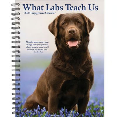 What Labs Teach Us 2027 Engagement Planner