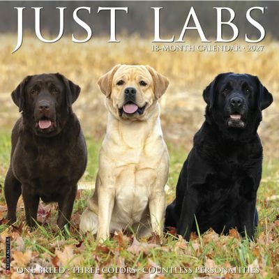 Just Labs 2027 Wall Calendar