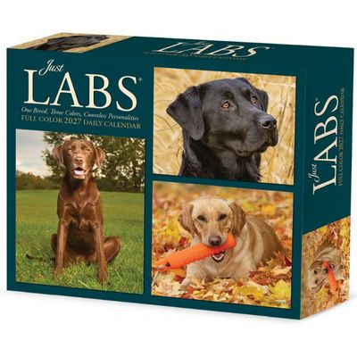 Just Labs 2027 Desk Calendar