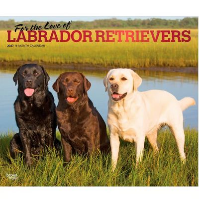 Lab Retrievers 2027 Deluxe Wall Calendar