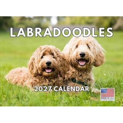 Labradoodles 2027 Calendar