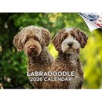 Labradoodles 2026 Calendar