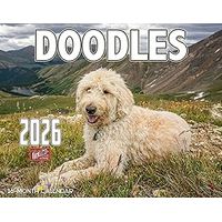 Doodles 2026 Wall Calendar