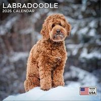 Doodles 2026 Wall Calendar