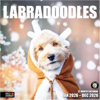 Doodles 2026 Wall Calendar