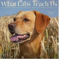 What Labs Teach Us 2026 Wall Calendar