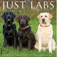 Just Labs 2026 Wall Calendar