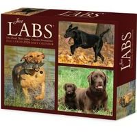 Just Labs 2026 Desk Calendar