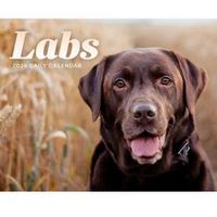 Labs 2026 Desk Calendar