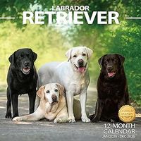 Labrador Retriever Calendars