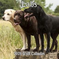 Labs 2026 Calendar