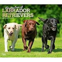Labrador Retrievers 2026 Calendar