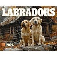Labrador Retrievers 2026 Wall Calendar