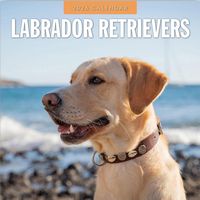 Labrador Retrievers 2026 Wall Calendar
