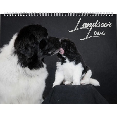 Landseer Love Calendar