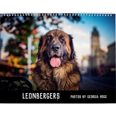 Leonbergers 2027 Calendar