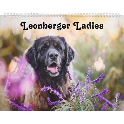 Leonberger Ladies Calendars