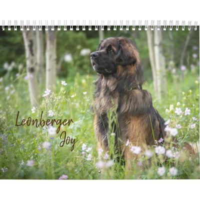 Leonberger Joy Calendar