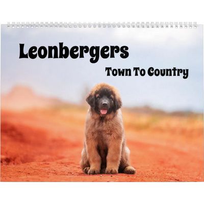 Town To Country Leonbergers Calendar