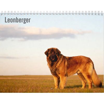Leonberger 2027 Wall Calendar