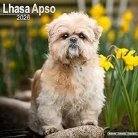 Lhasa Apso 2026 Wall Calendar