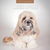 Lhasa Apso 2026 Wall Calendar