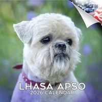 Lhasa Apso 2026 Wall Calendar