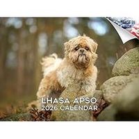 Lhasa Apso 2026 Wall Calendar