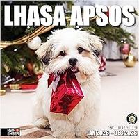 Lhasa Apso 2026 Wall Calendar