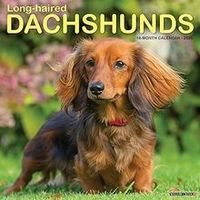 Longhaired Dachshunds 2026 Wall Calendar