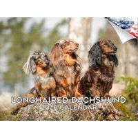 Longhaired Dachshunds 2026 Wall Calendar
