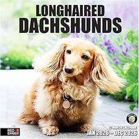 Longhaired Dachshunds 2026 Wall Calendar