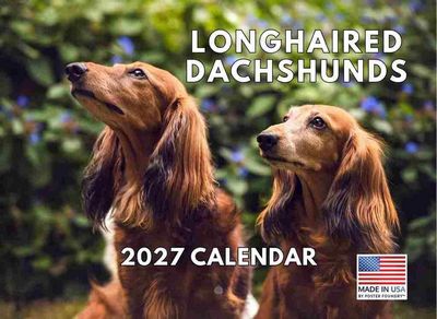 Longhaired Dachshunds 2027 Wall Calendar