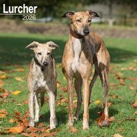 Lurcher 2026 Wall Calendar 2026