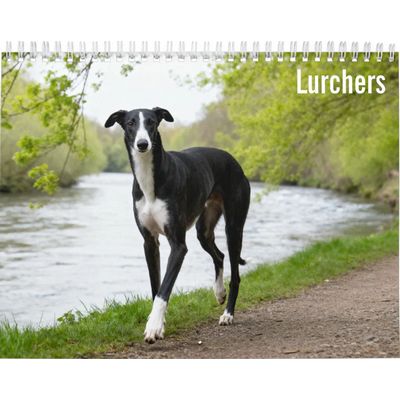 Lurcher 2027 Wall Calendar