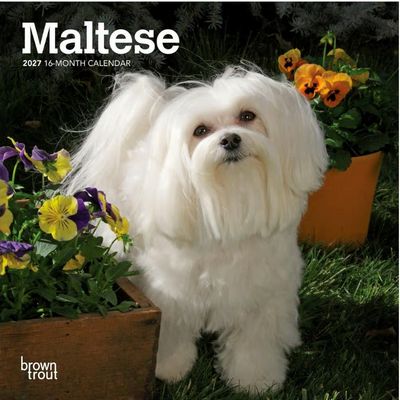 Maltese 2027 Calendar