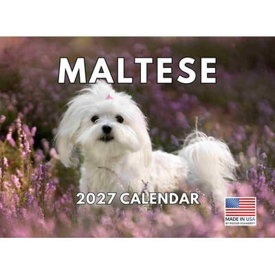 Just Maltese 2027 Calendar