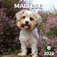 Maltese 2026 Calendar
