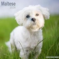 Maltese 2026 Calendar