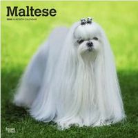Maltese 2026 Calendar