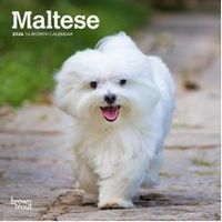 Maltese 2026 Calendar