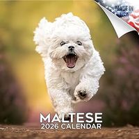 Maltese 2026 Calendar