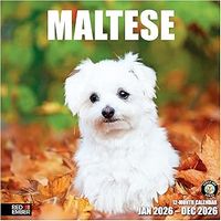 Maltese 2026 Calendar