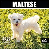 Maltese 2026 Calendar