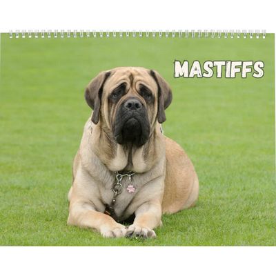 Mastiffs 2027 Calendar