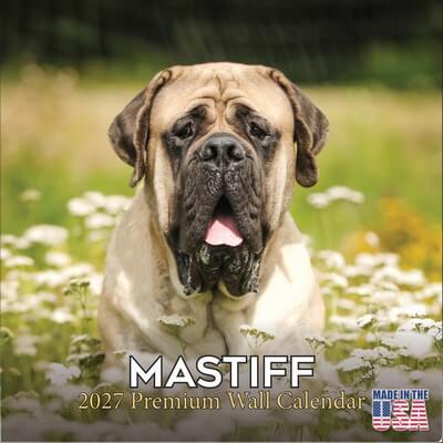 Mastiff 2027 Calendar