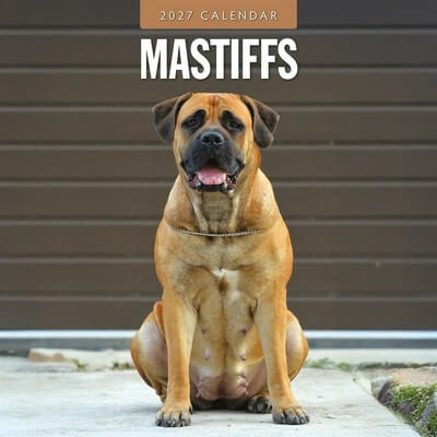 Mastiff 2027 Calendar