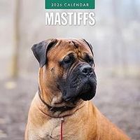 Mastiff 2026 Calendar