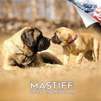 Mastiff 2026 Calendar