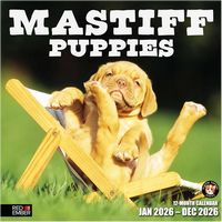 Mastiff 2026 Calendar